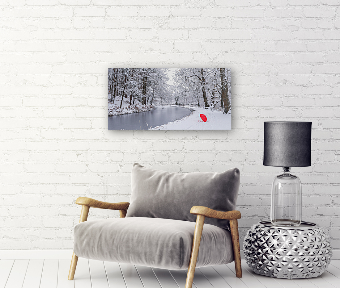 Snowy Canal Reproduction