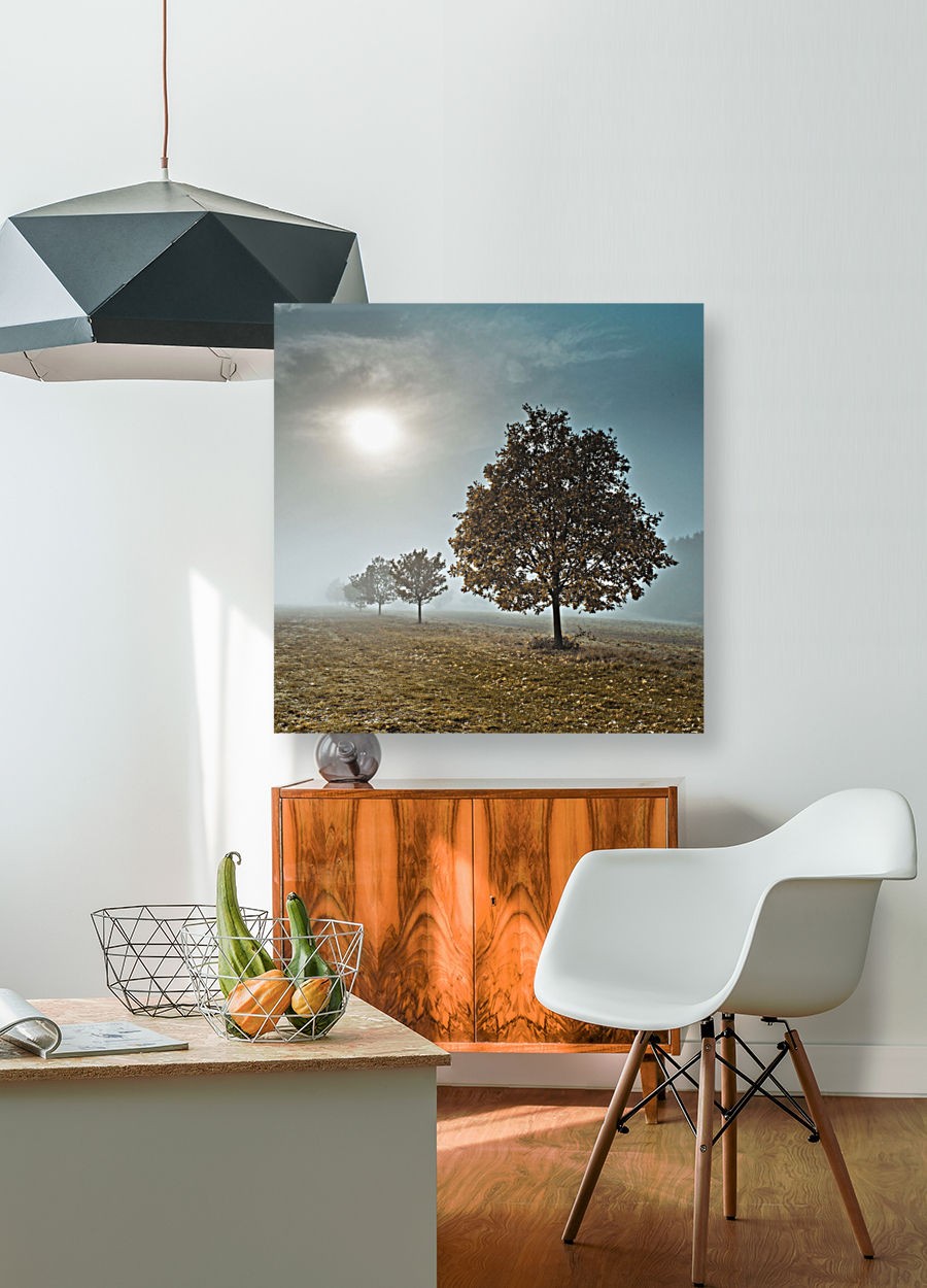 Trees in the Mist Reproduction