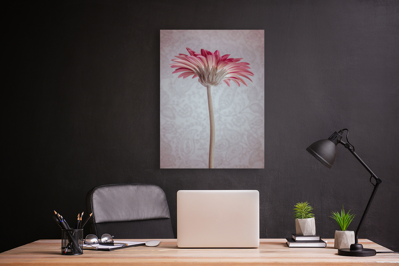 Gerbera Flower Reproduction