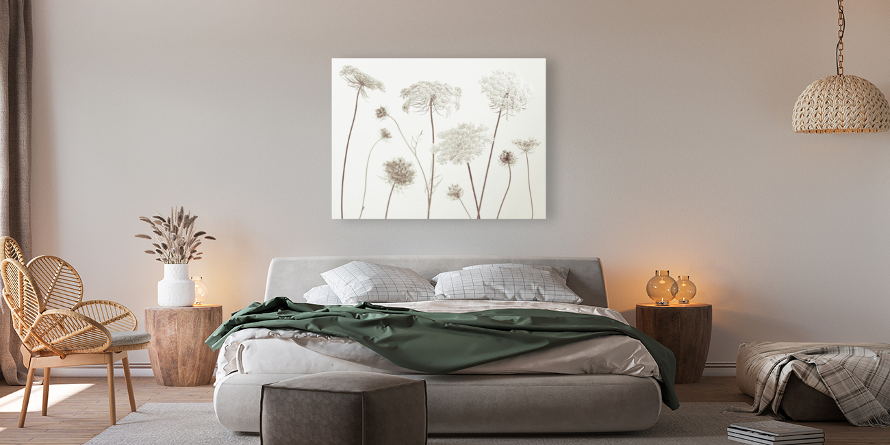 Cow Parsley Reproduction