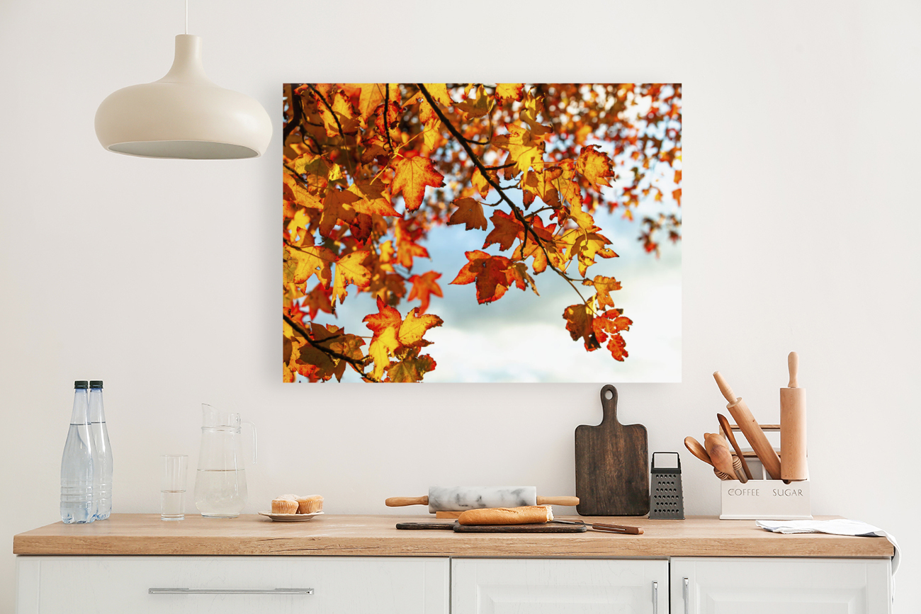 Autumn Leaves Reproduction