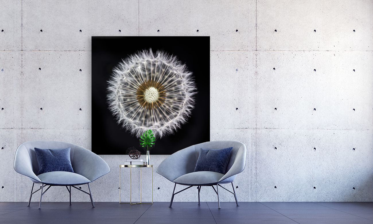 Ethereal Dandelion Clock Reproduction