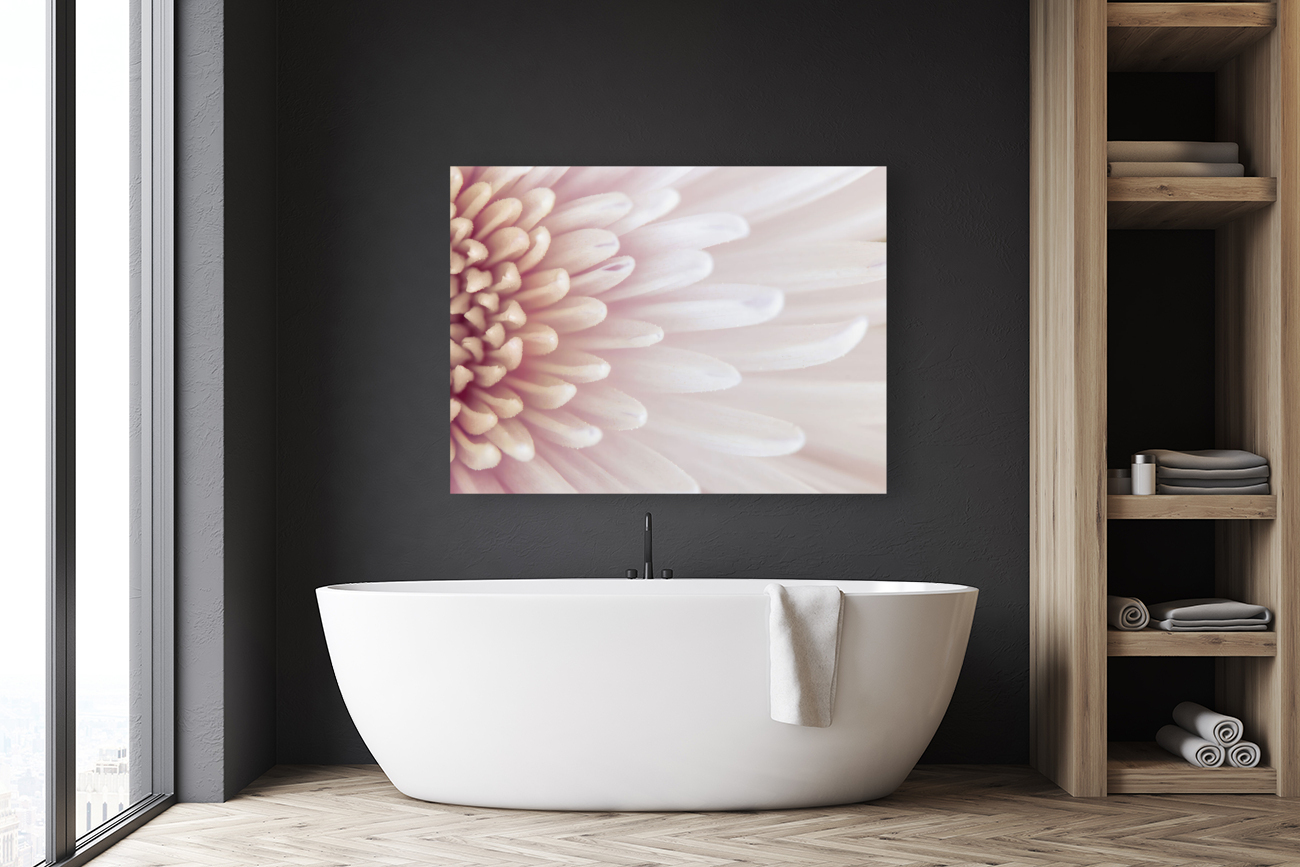 Chrysanthemum Petals Reproduction