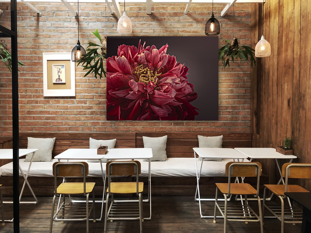 Beautiful Peony Reproduction
