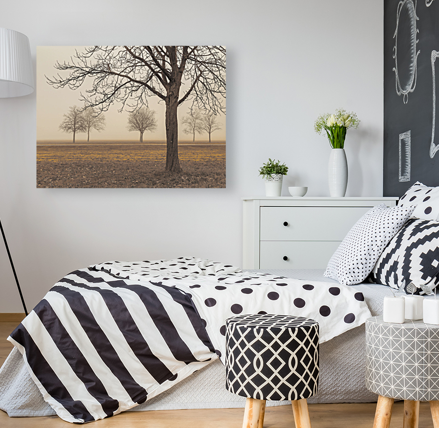 Misty Countryside Reproduction