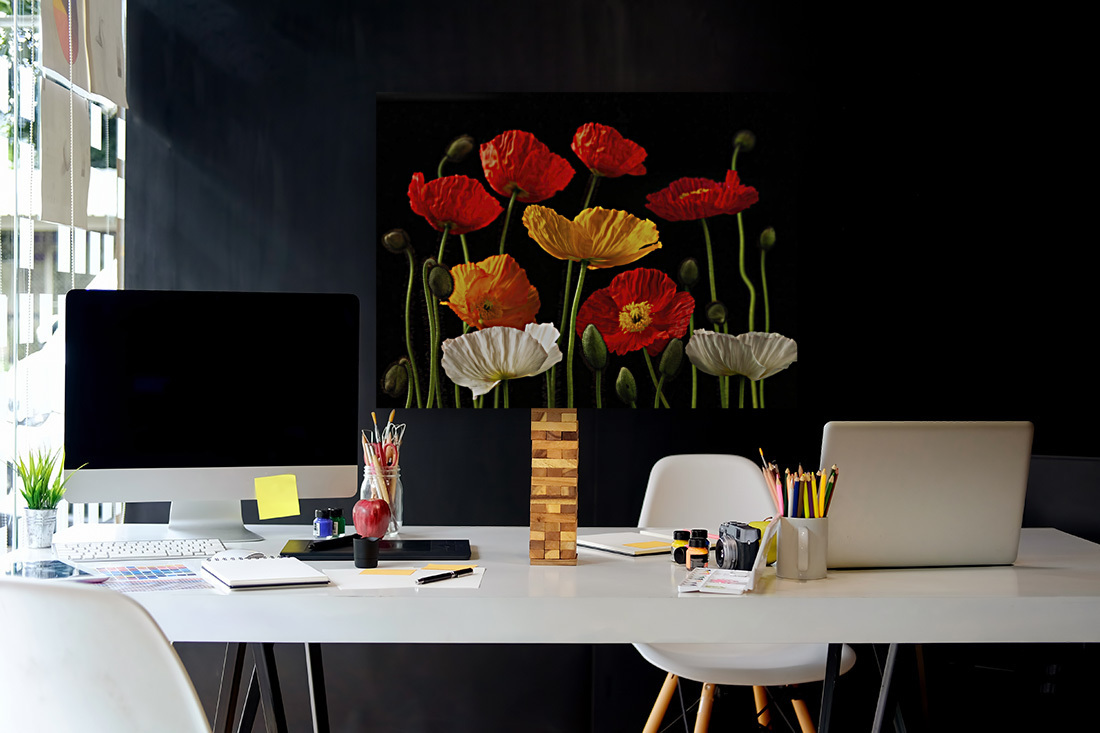 Multicoloured Poppies Reproduction