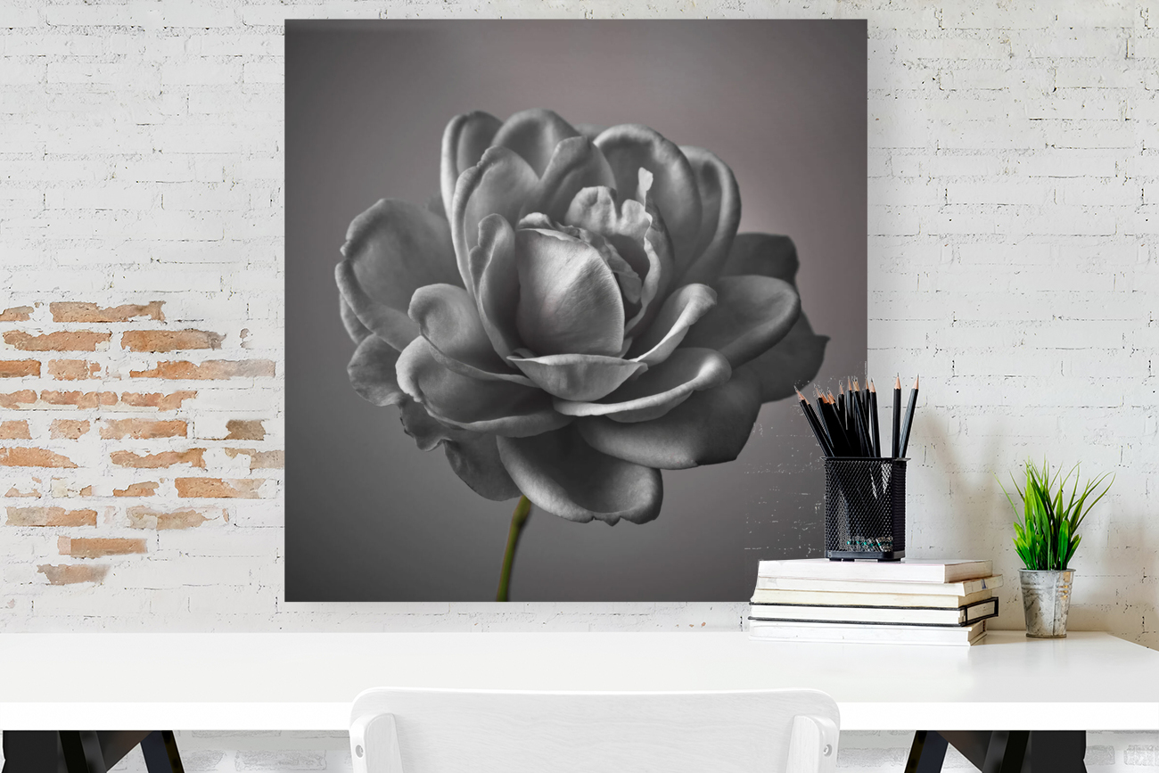 Monochrome Elegance Reproduction