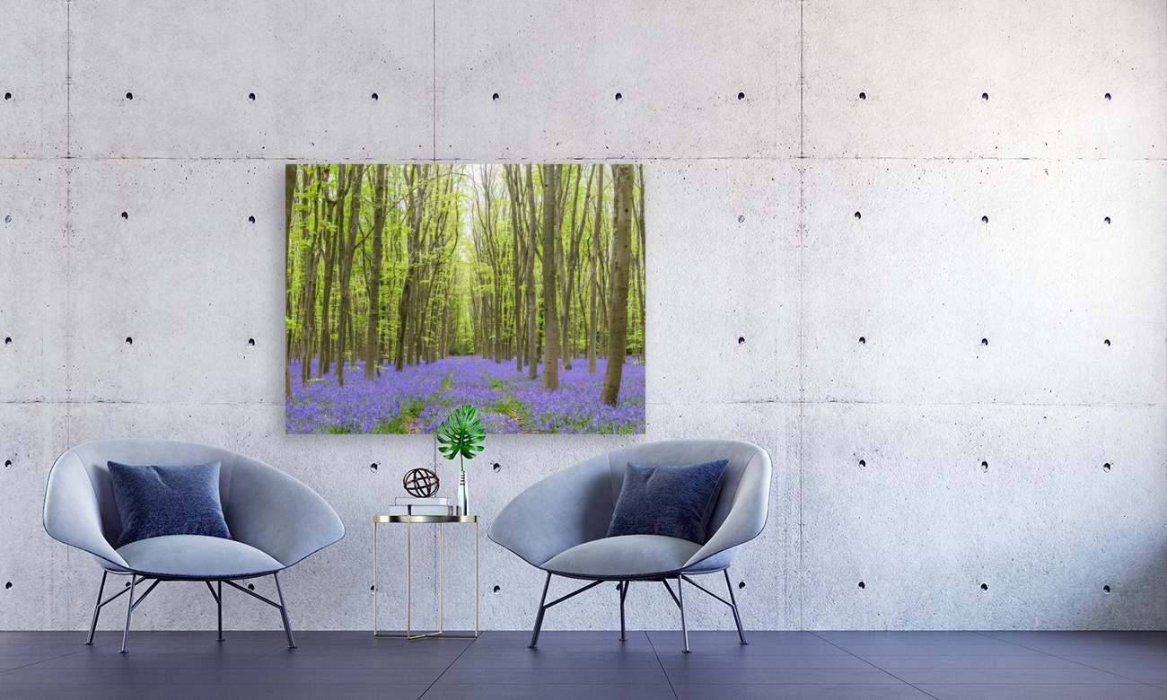 Bluebell forest Reproduction