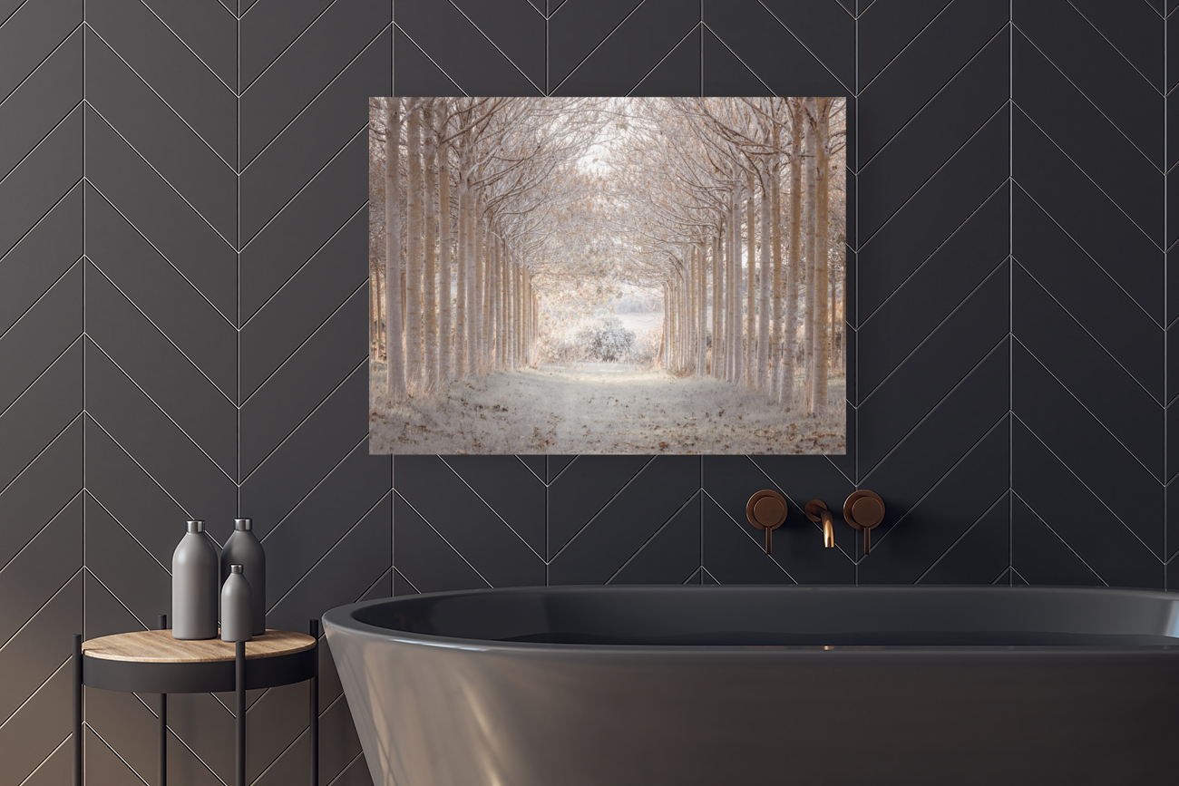 Winter Forest Reproduction