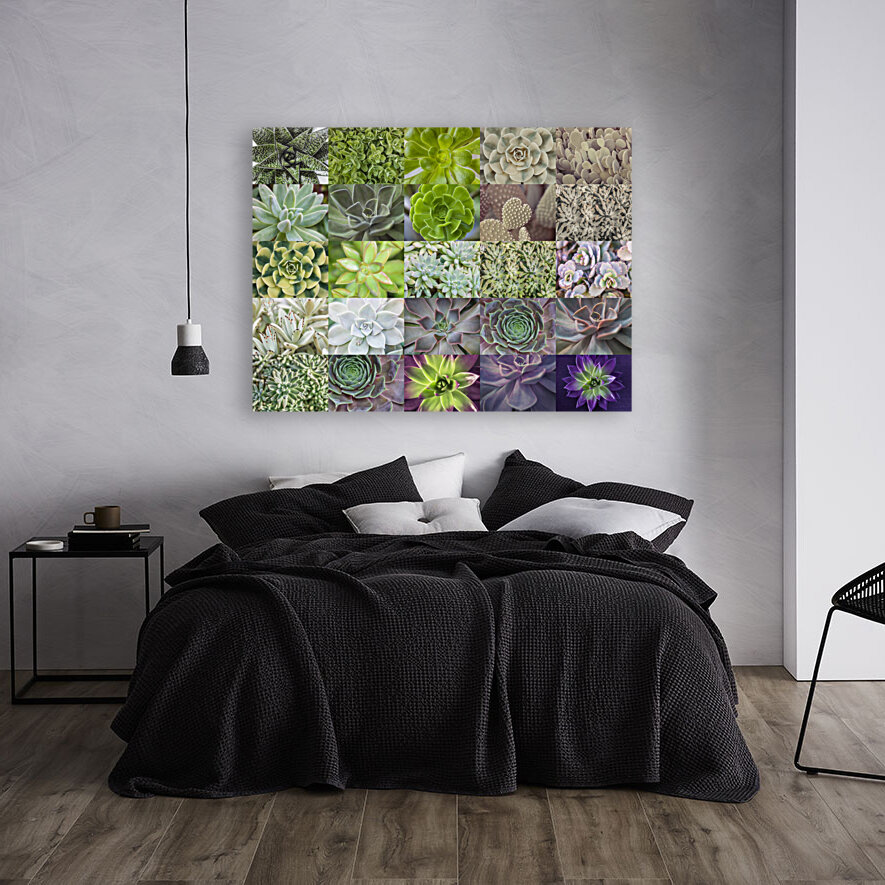Succulents Collage Reproduction