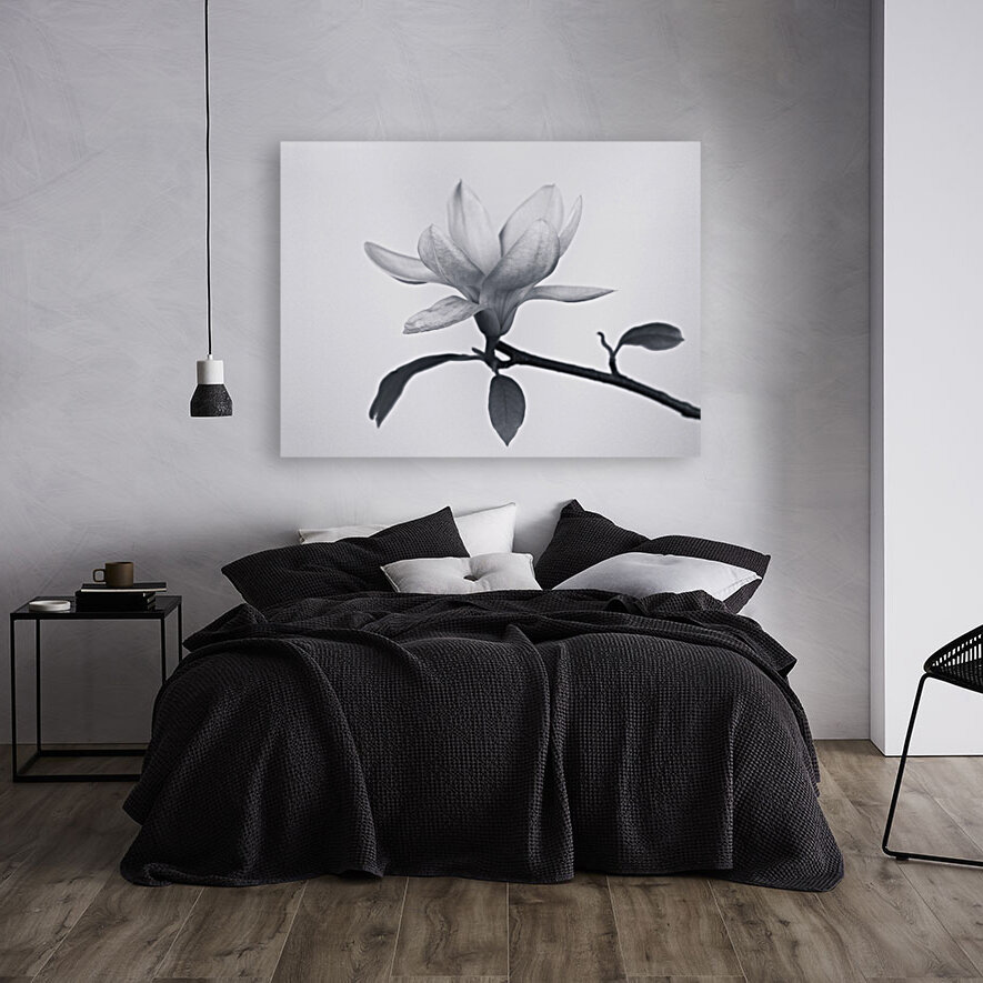 Monochrome Magnolia Reproduction