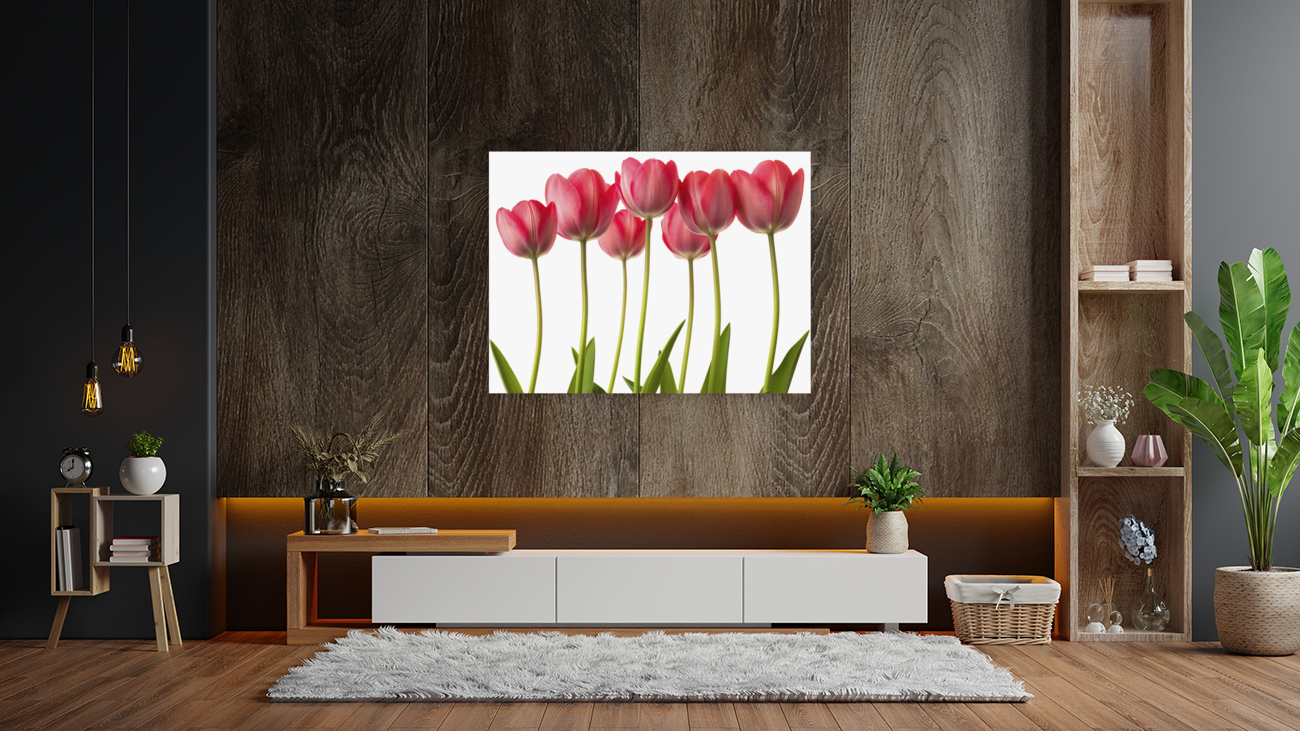 Growing Tulips Reproduction