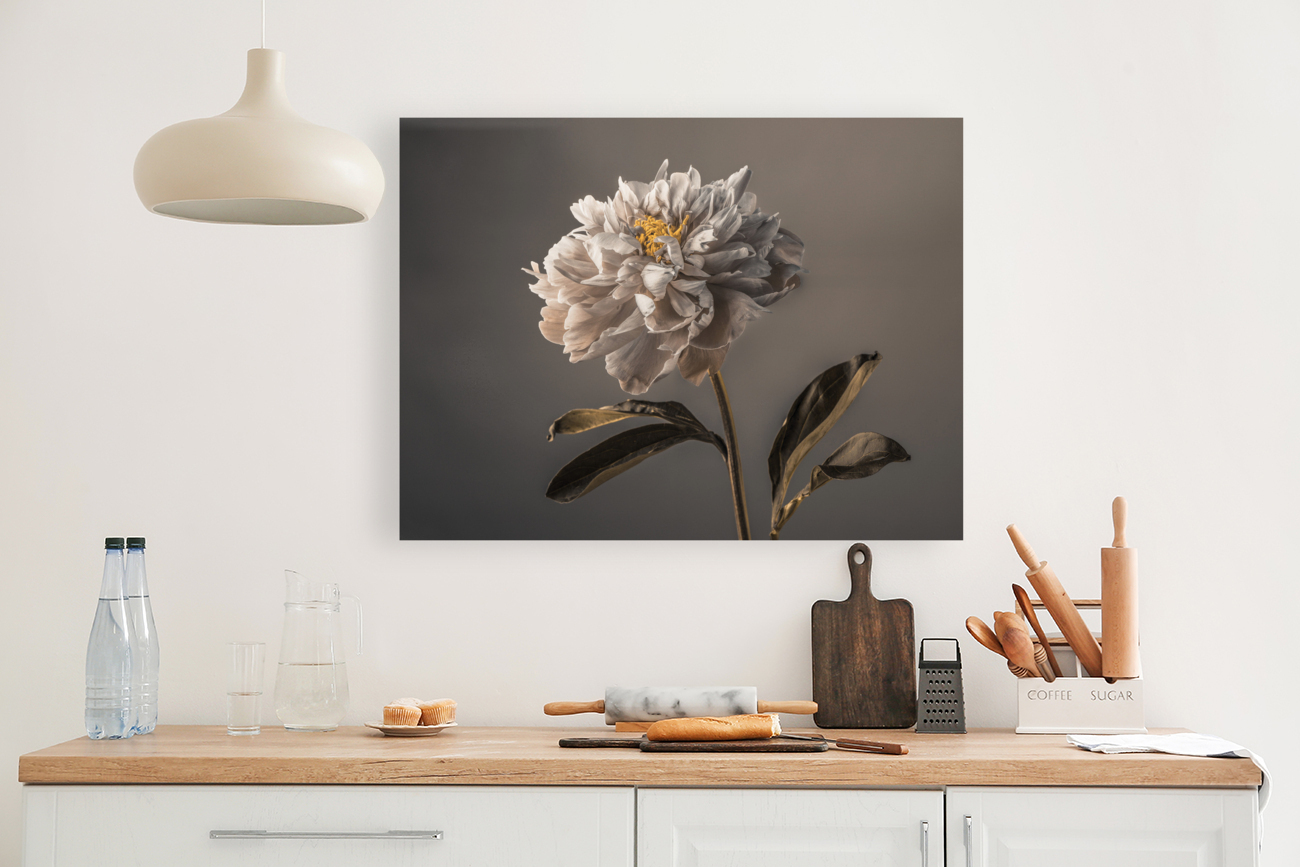 Peony Reproduction