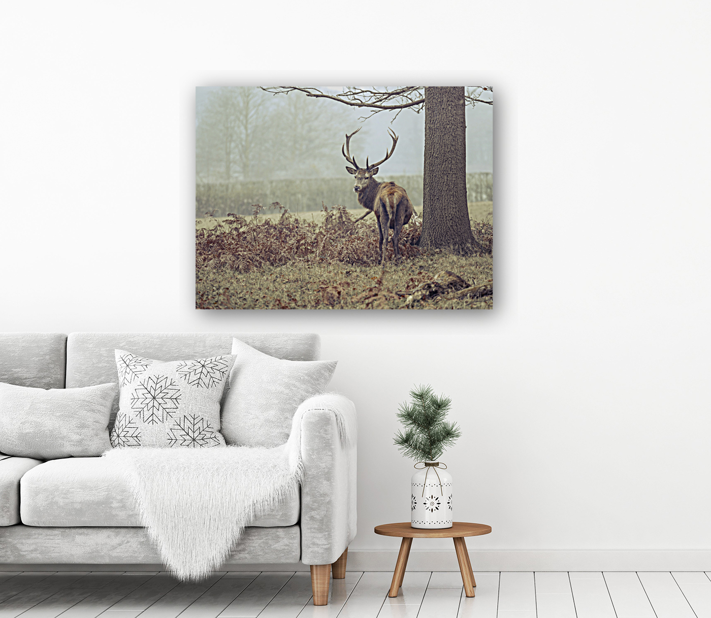 Lone Stag Reproduction