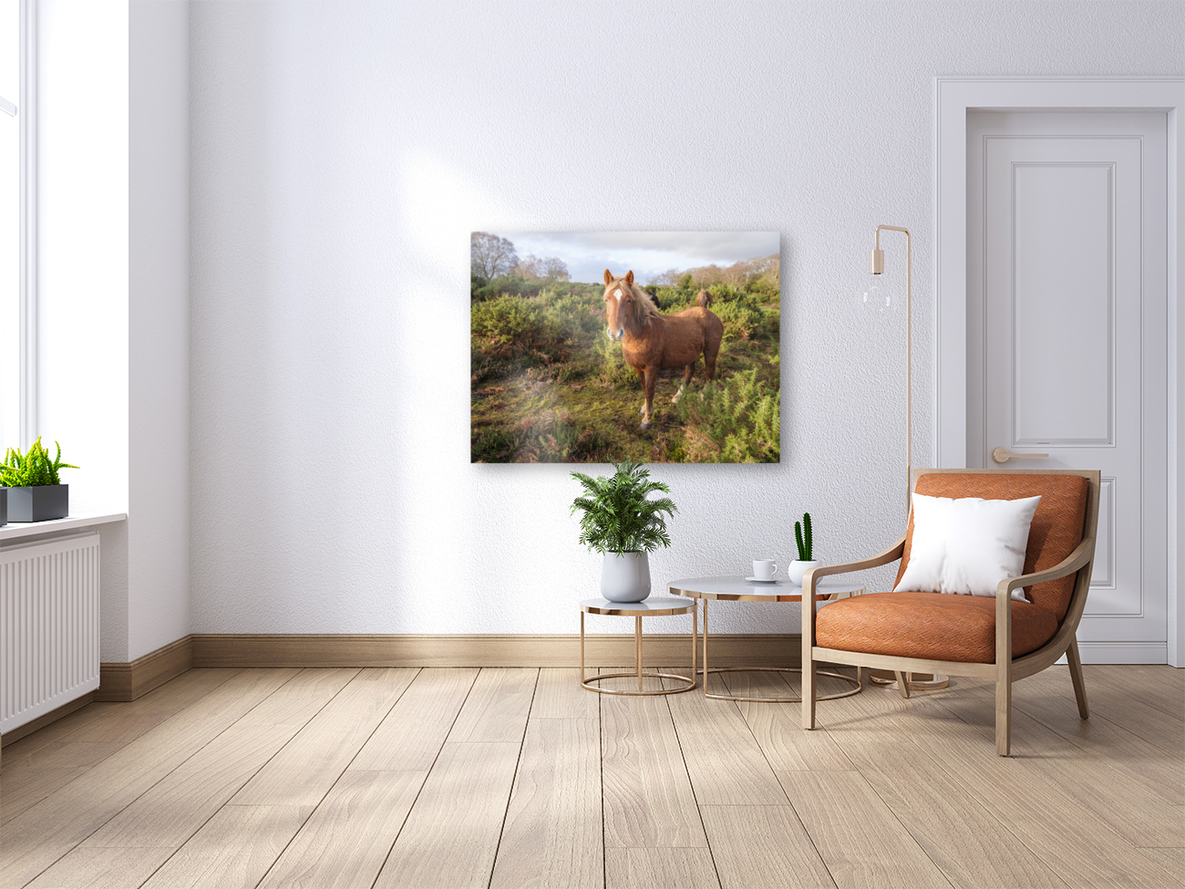 Lone Stag Reproduction