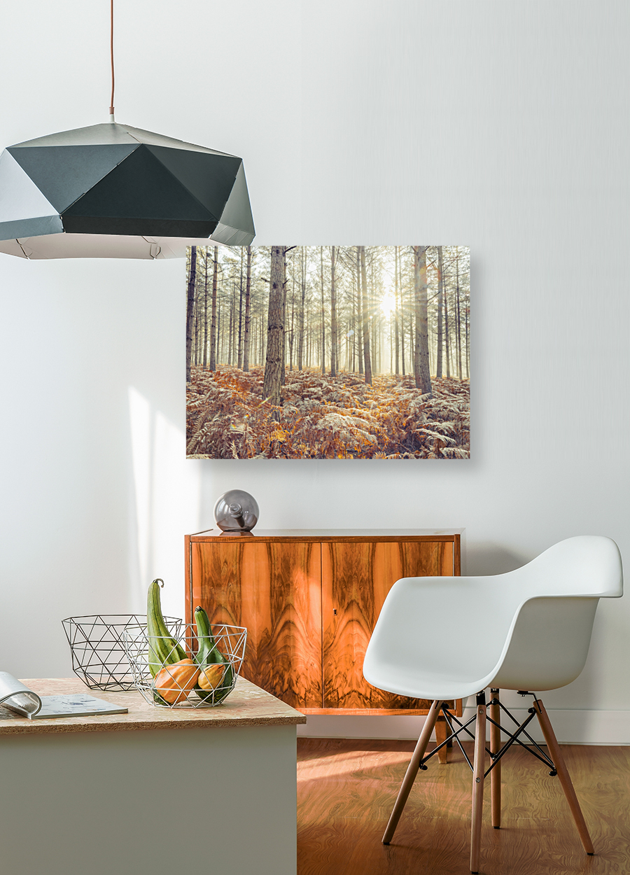 Natures Illumination Reproduction