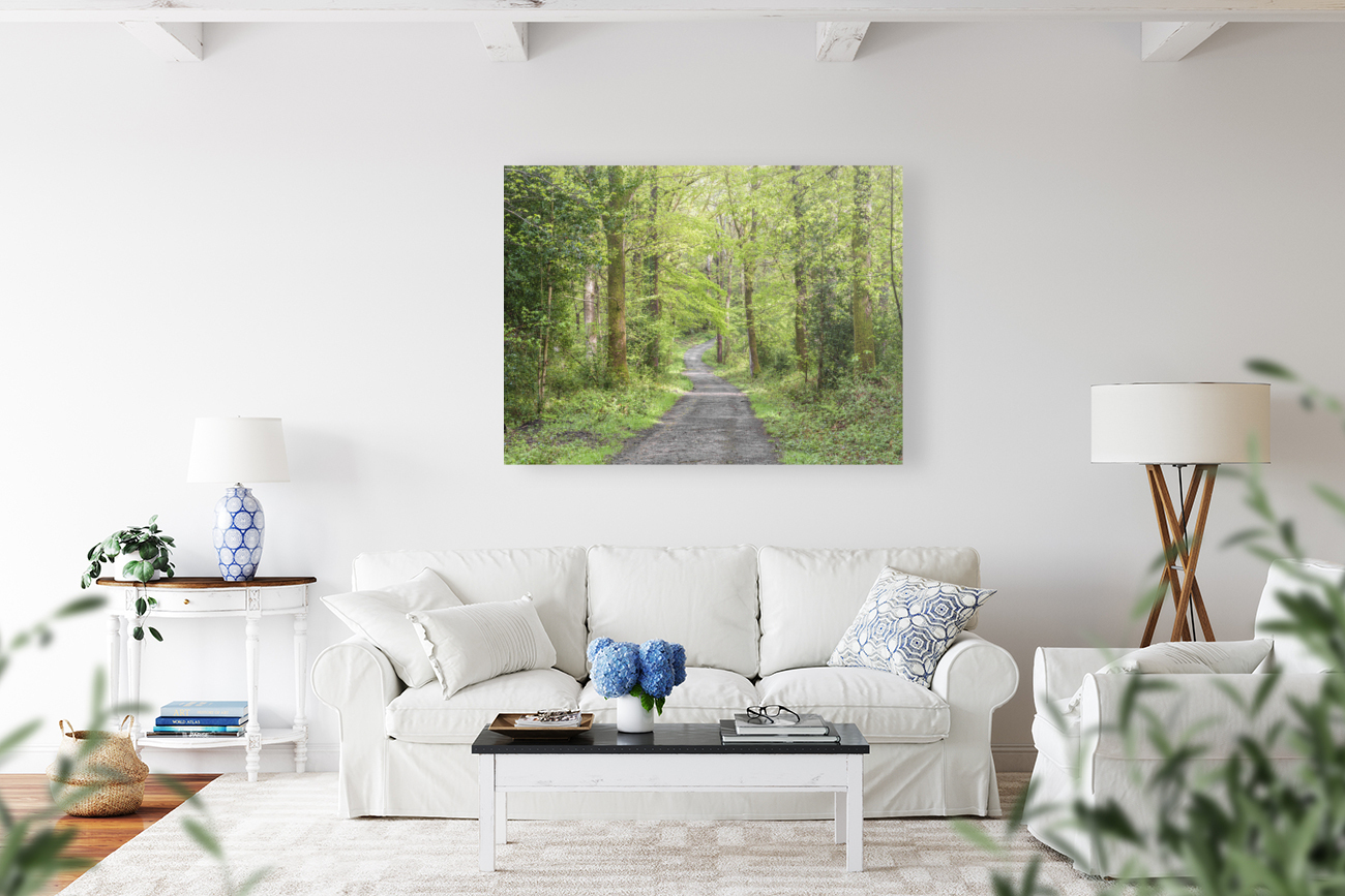 Pathway through forest Reproduction