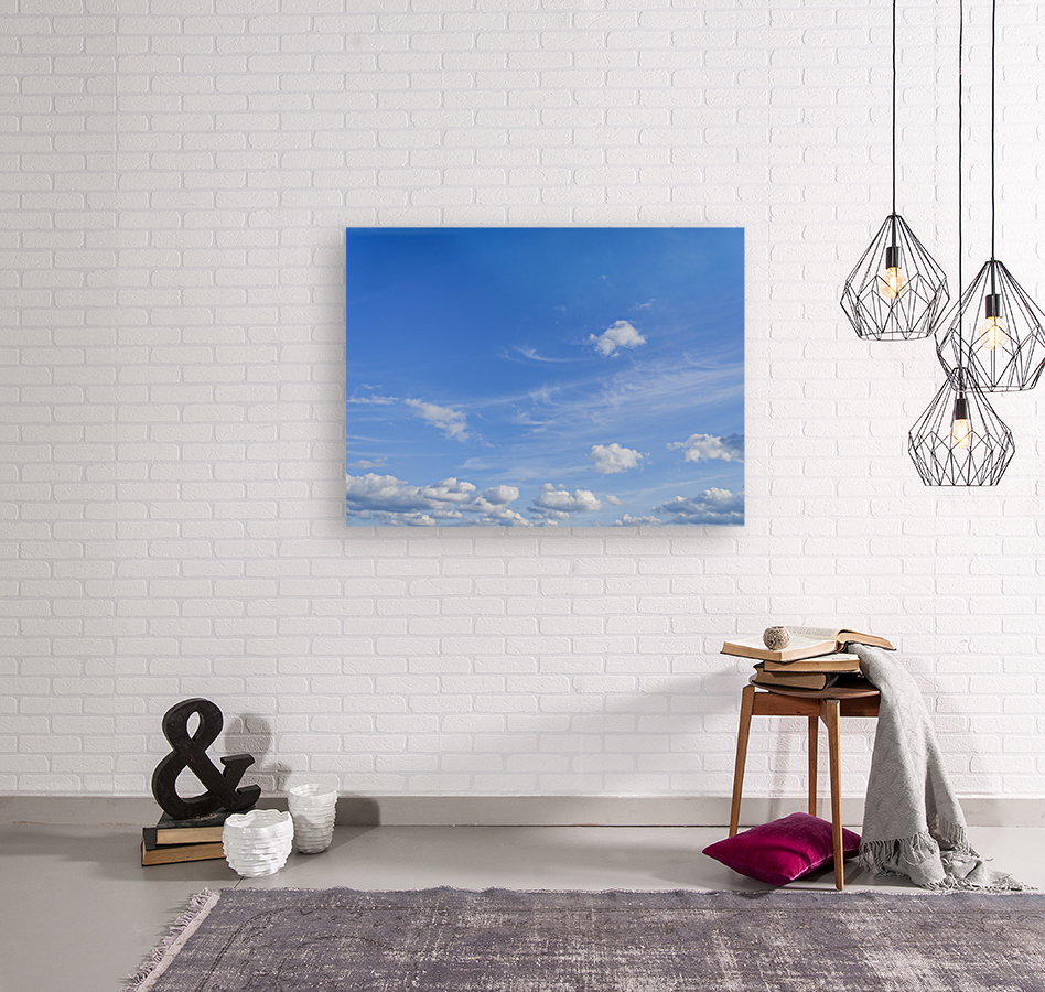 Blue Sky Reproduction