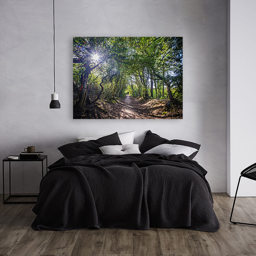 Journey through Forest Reproduction