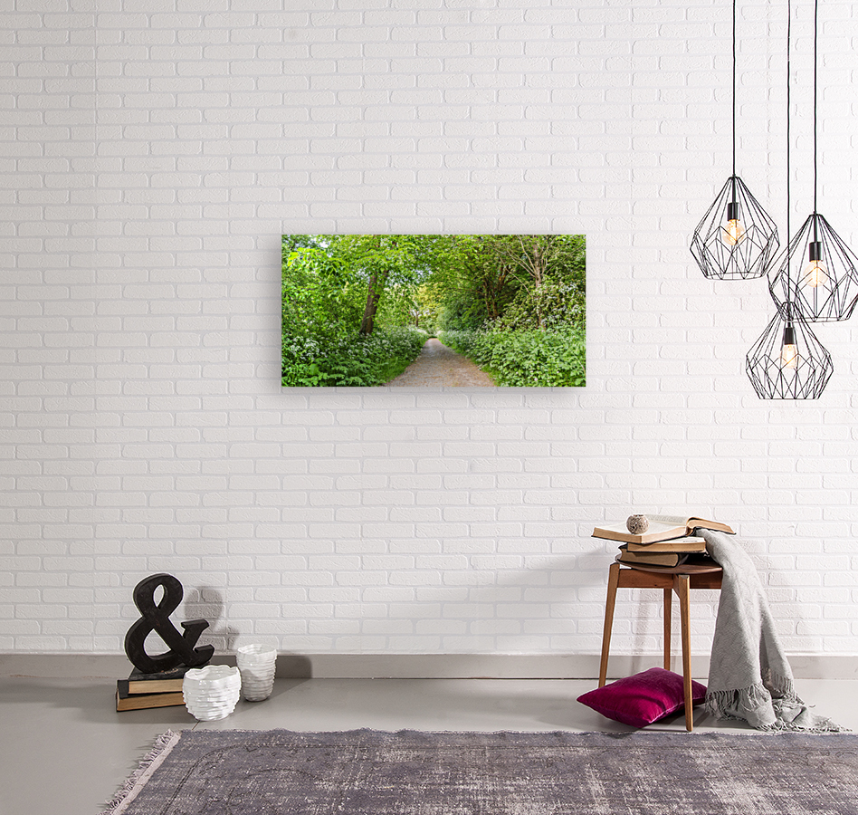 Woodland spring path Reproduction