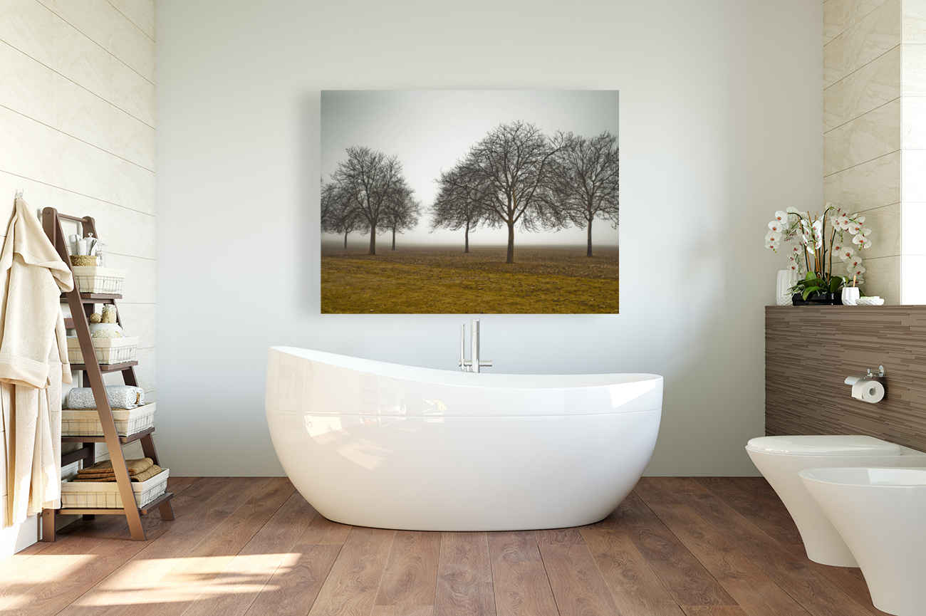 Misty Meadow Reproduction