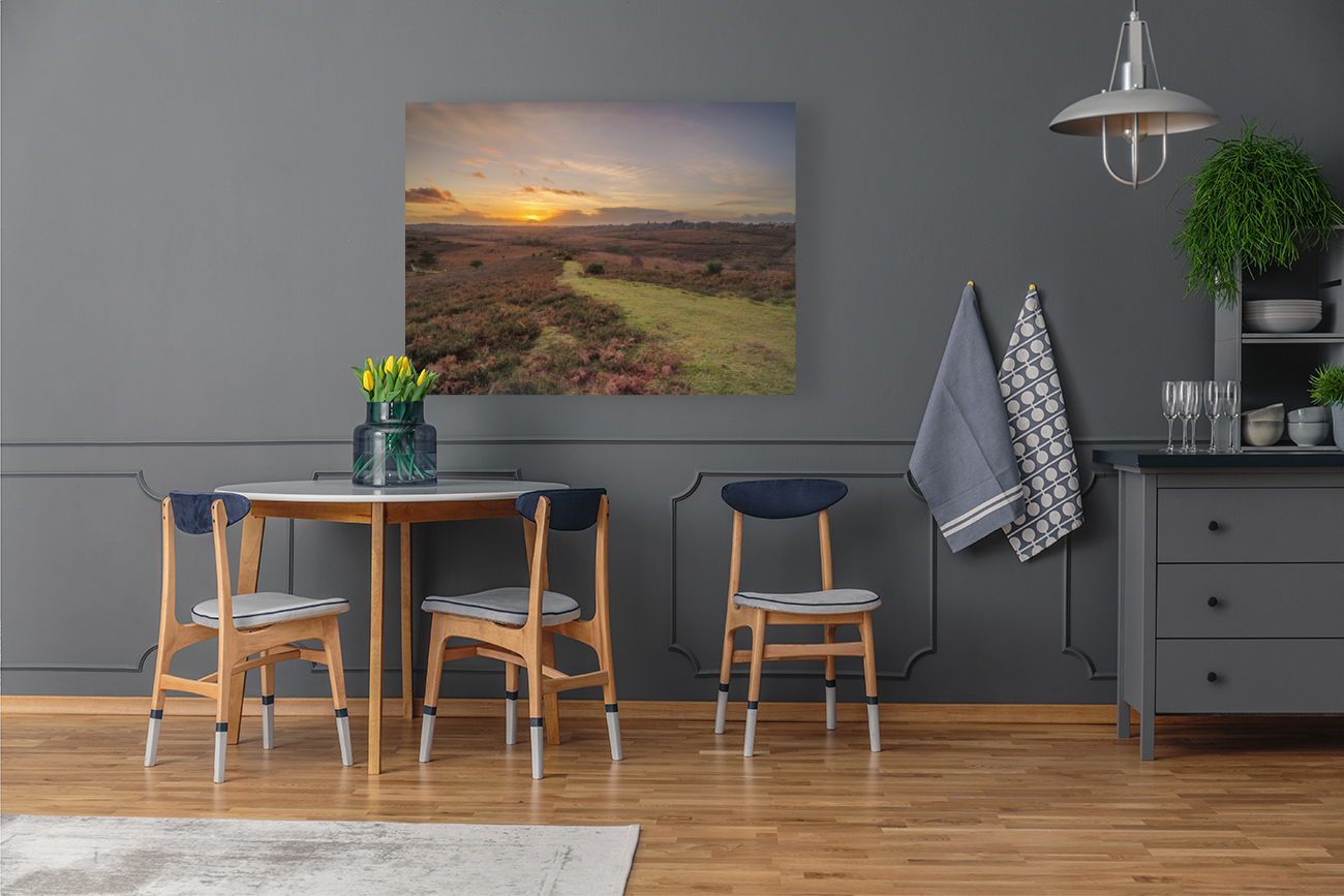 New Forest Sunset Reproduction