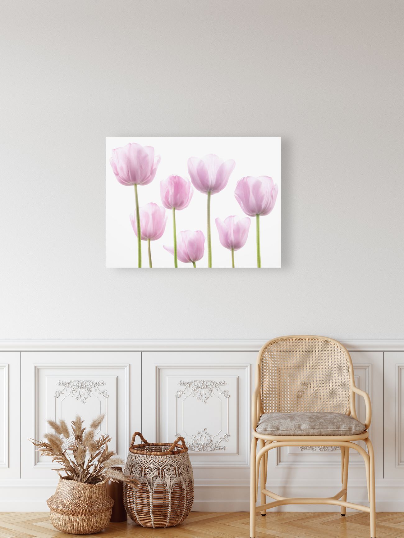 Tulip Bulbs Reproduction