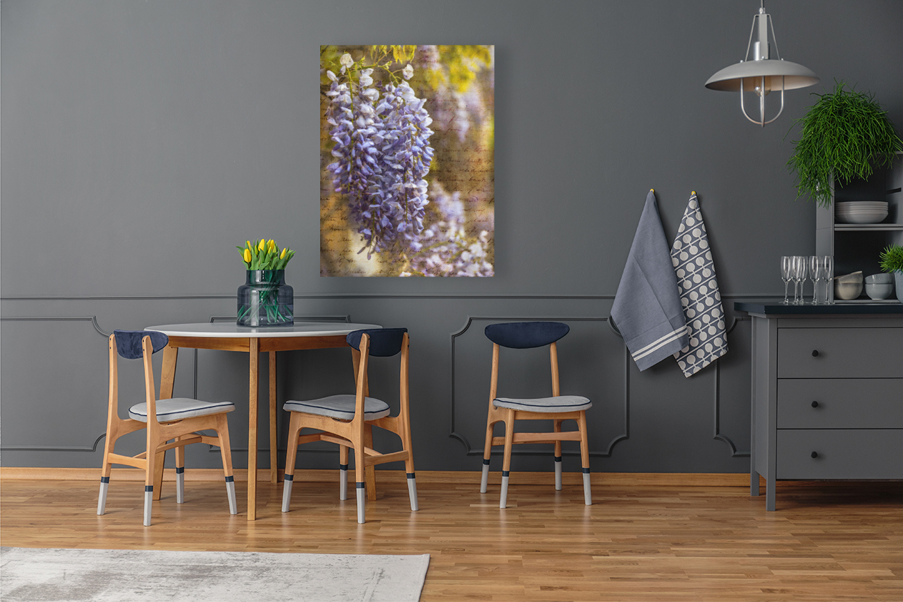 Wisteria Blooms Reproduction