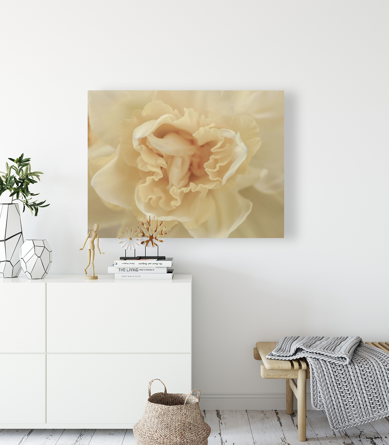 Daffodil Reproduction