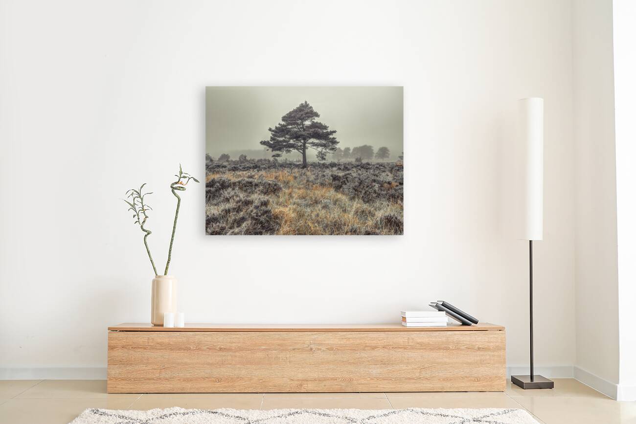Solitude in the Fields Reproduction