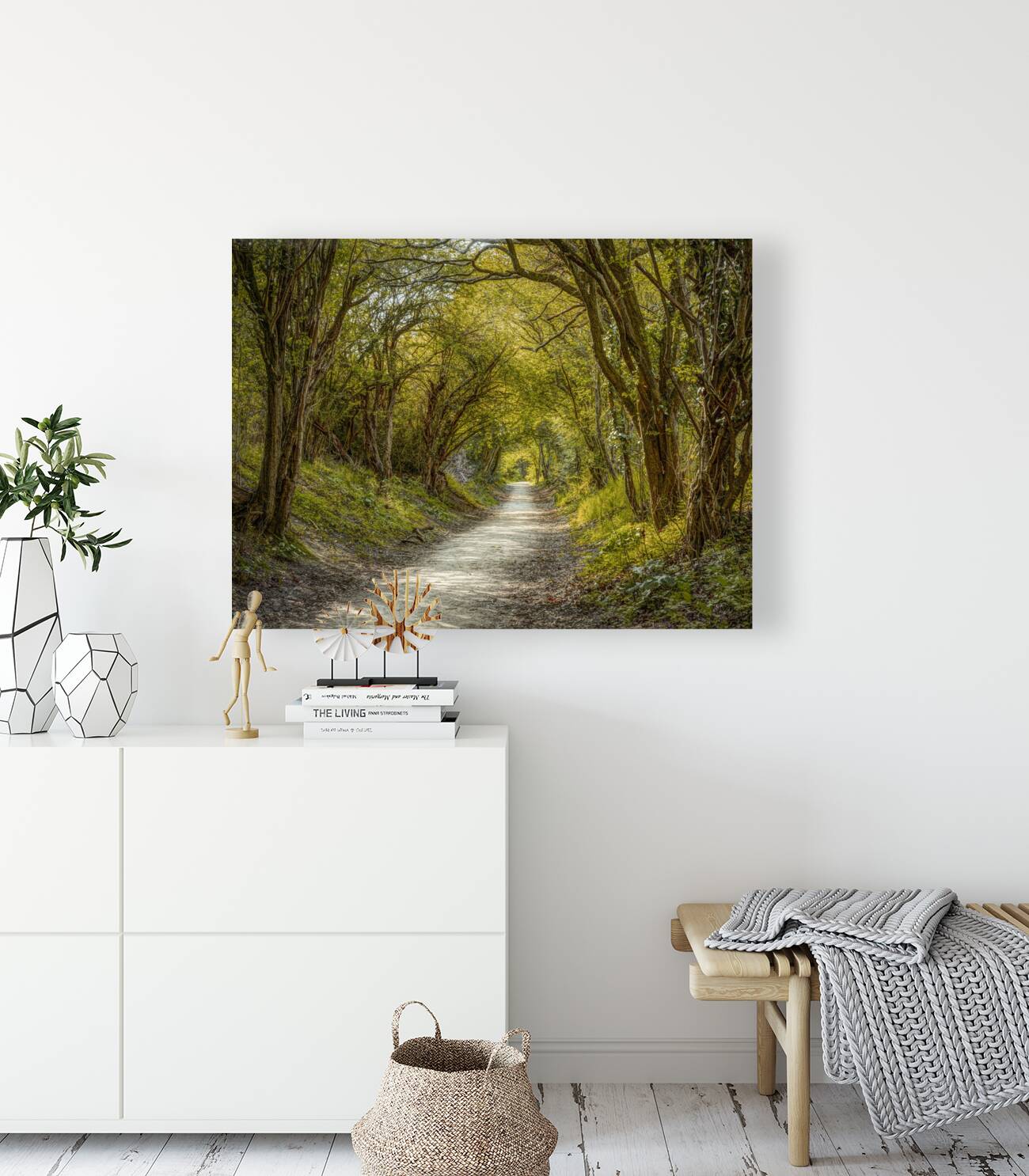 Journey through Forest Reproduction
