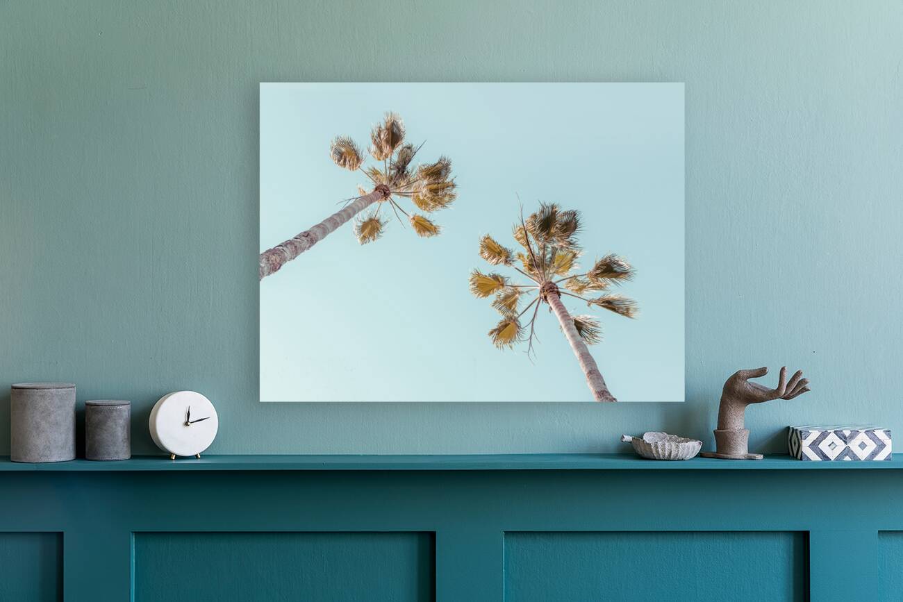 Palm trees Reproduction