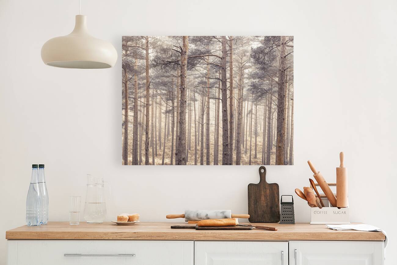 Misty Forest Reproduction