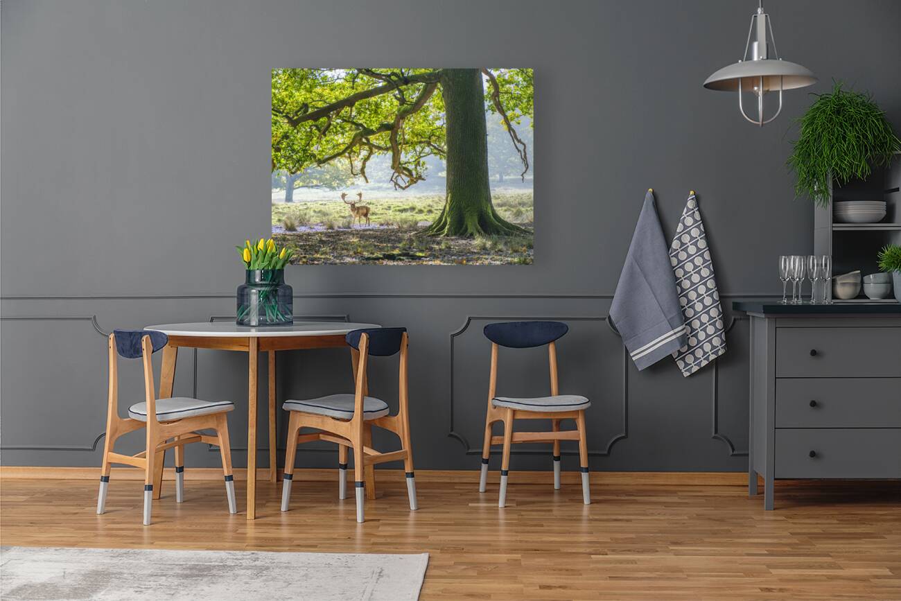 Stag under an old oak tree Reproduction
