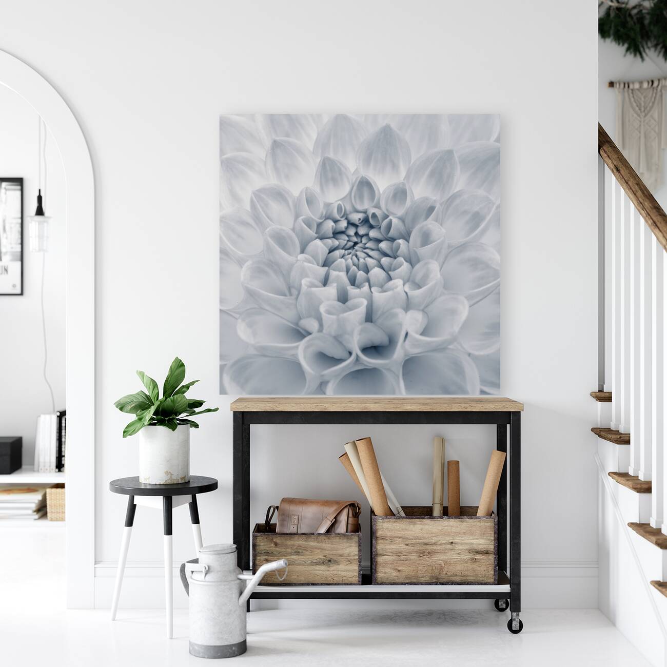 Captivating Dahlia Reproduction