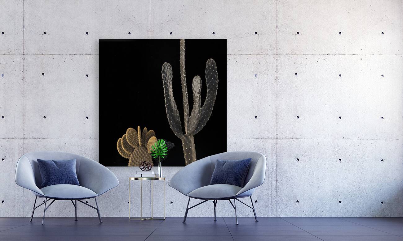 Cactus plants Reproduction