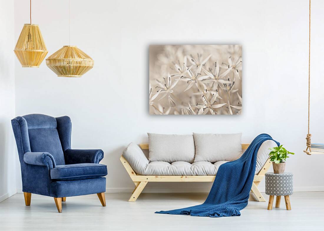 Allium Allure Reproduction