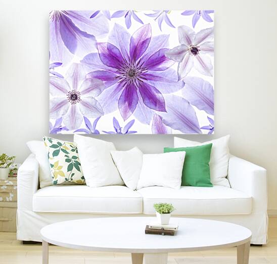 Clematis Flowers Reproduction