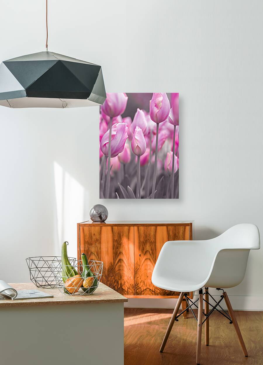 Pink Tulips Reproduction