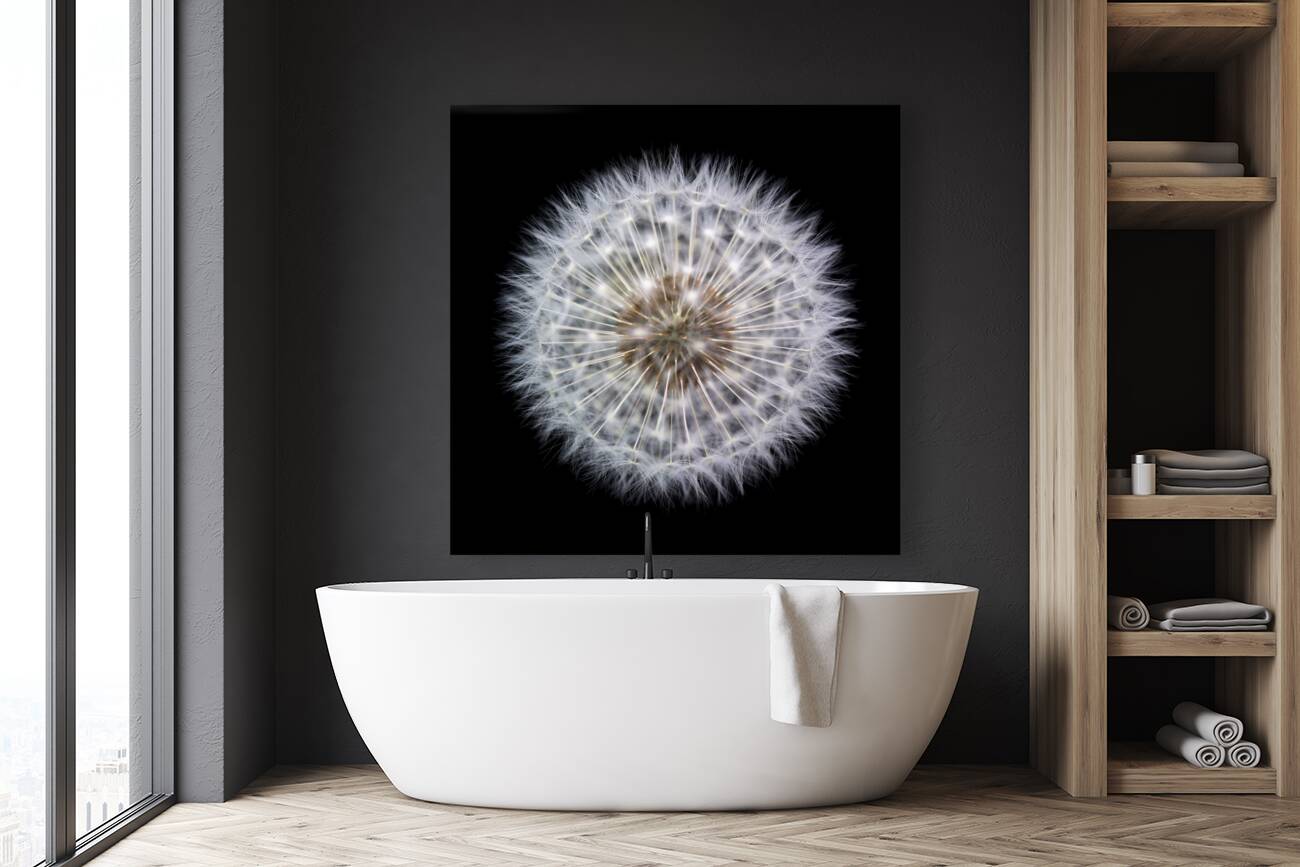 Dandelion Clock Reproduction