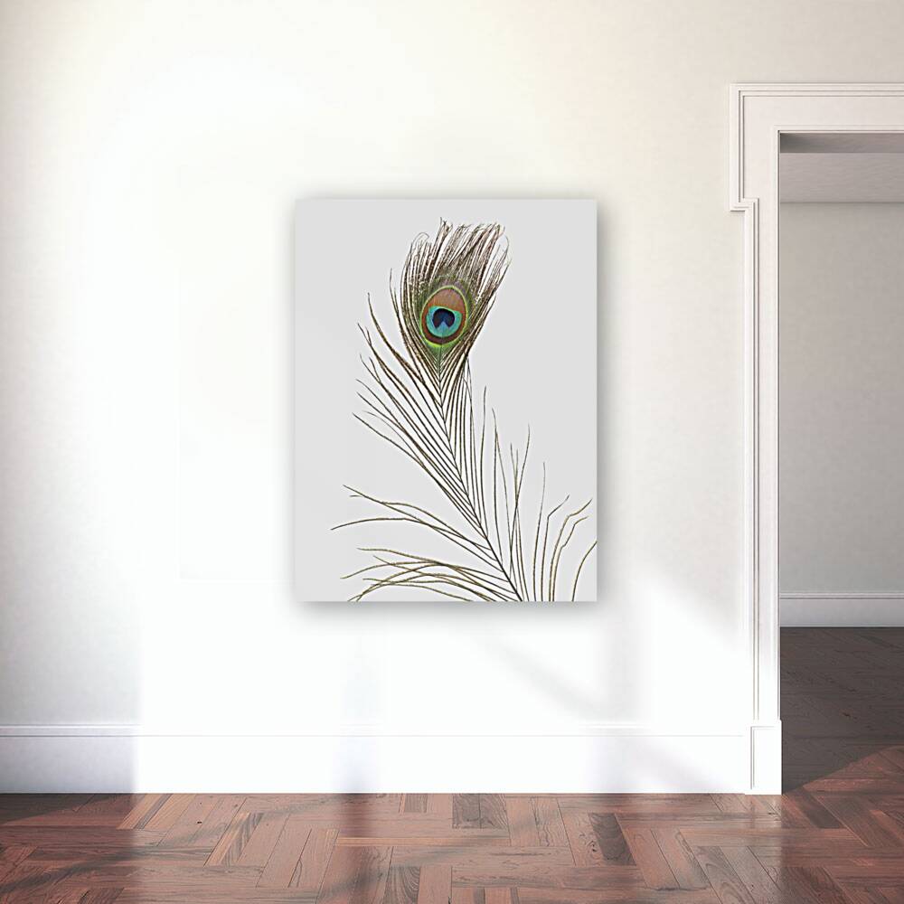 Single Peacock feather Reproduction