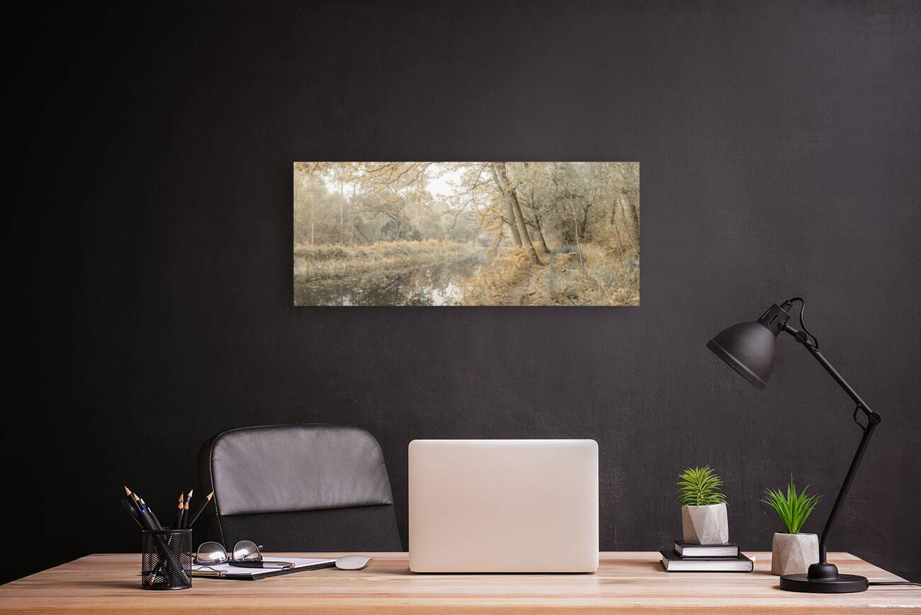 Misty Canal Reproduction