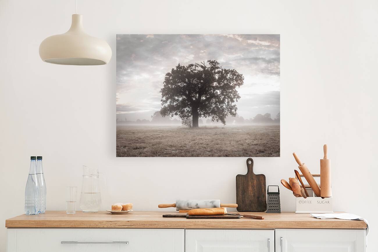 Tree at sunrise Reproduction
