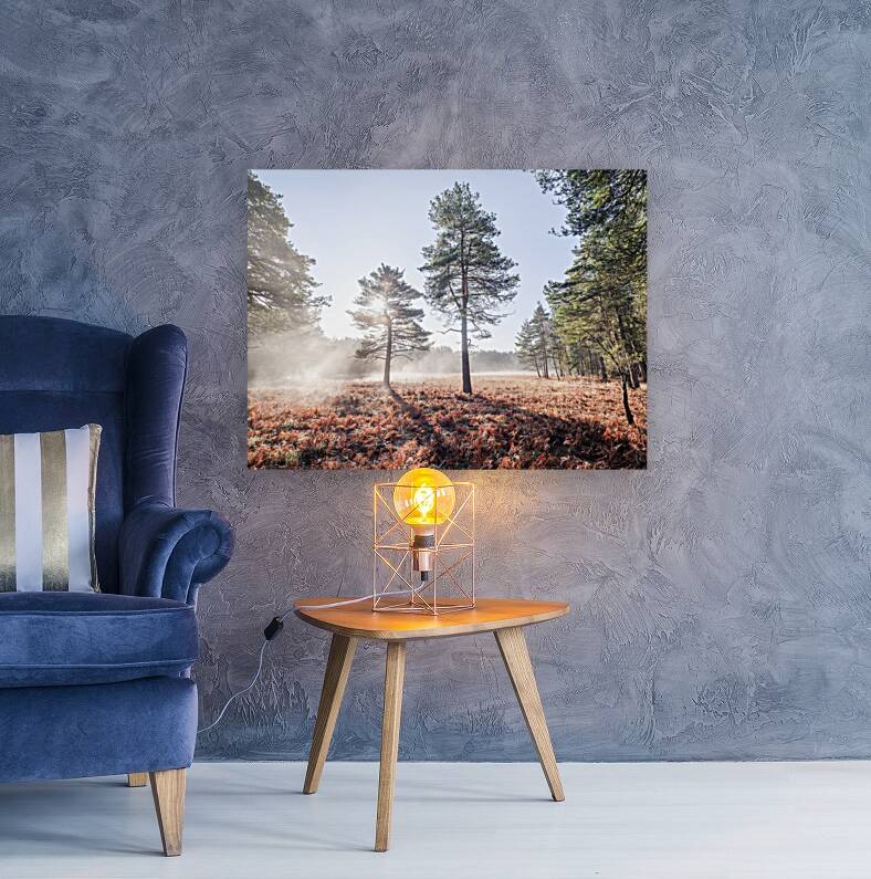 Enchanted Misty Forest Reproduction