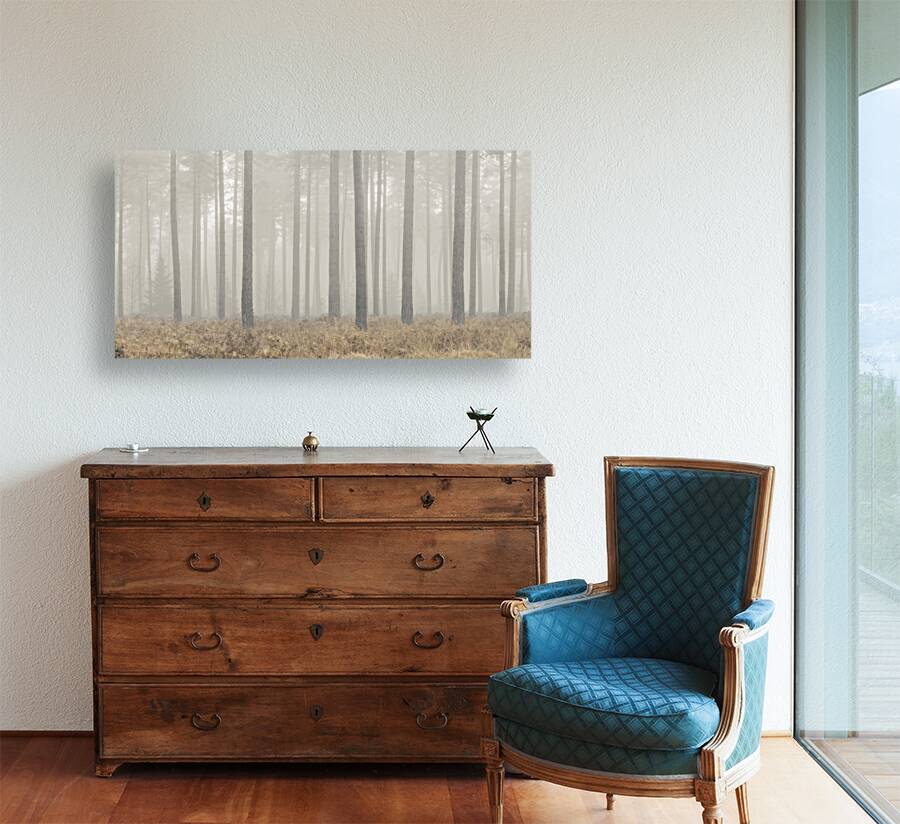 Enigmatic Elegance Reproduction