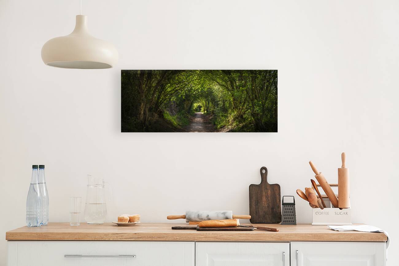 Journey through Forest Reproduction