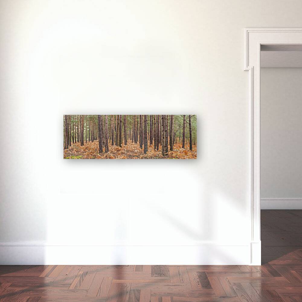 Autumn forest Reproduction