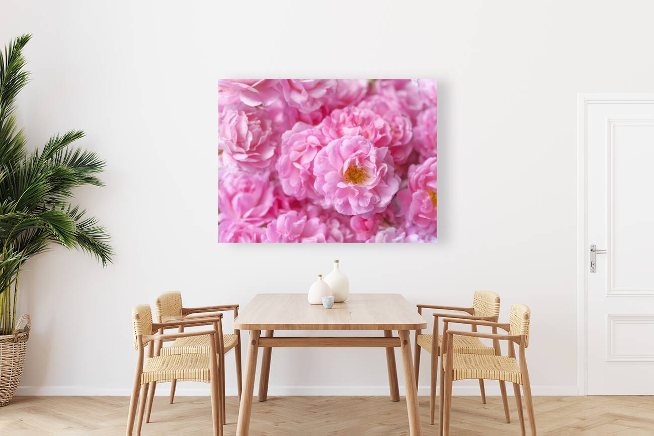 Pink Roses Reproduction
