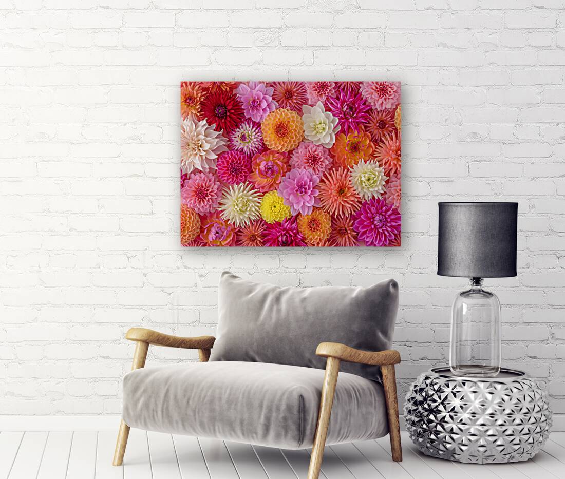 Blossom Medley Reproduction