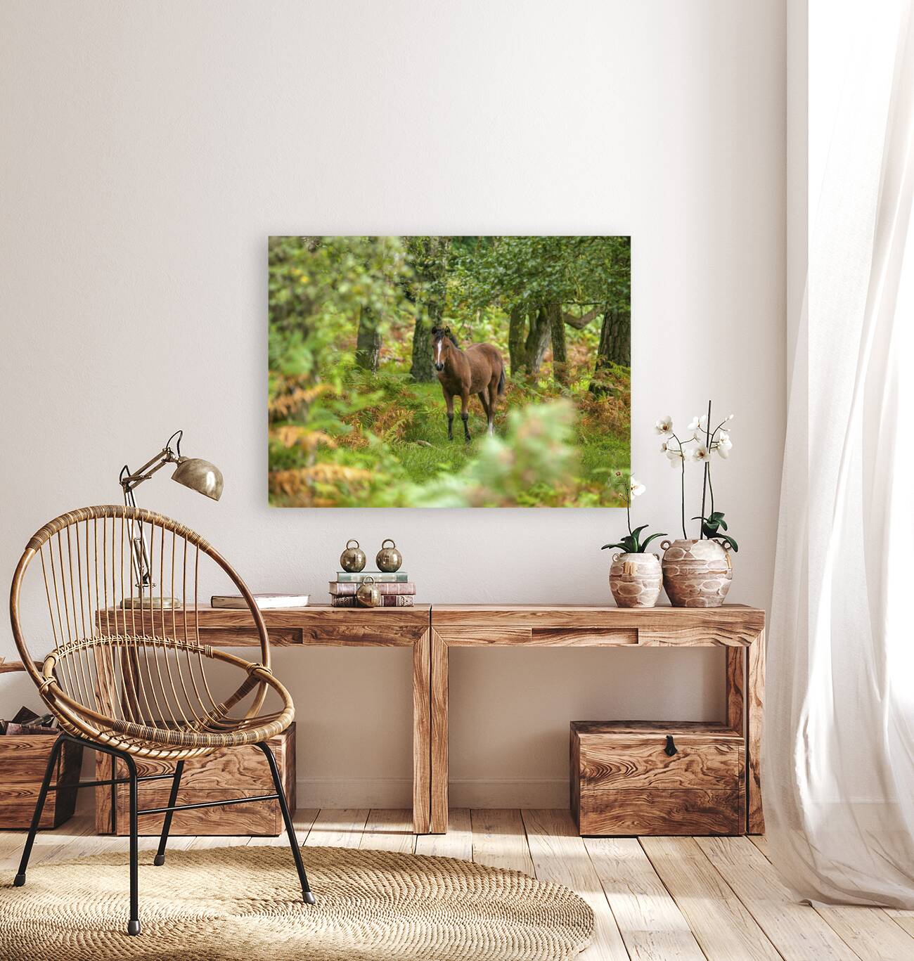 New Forest Nomad Reproduction